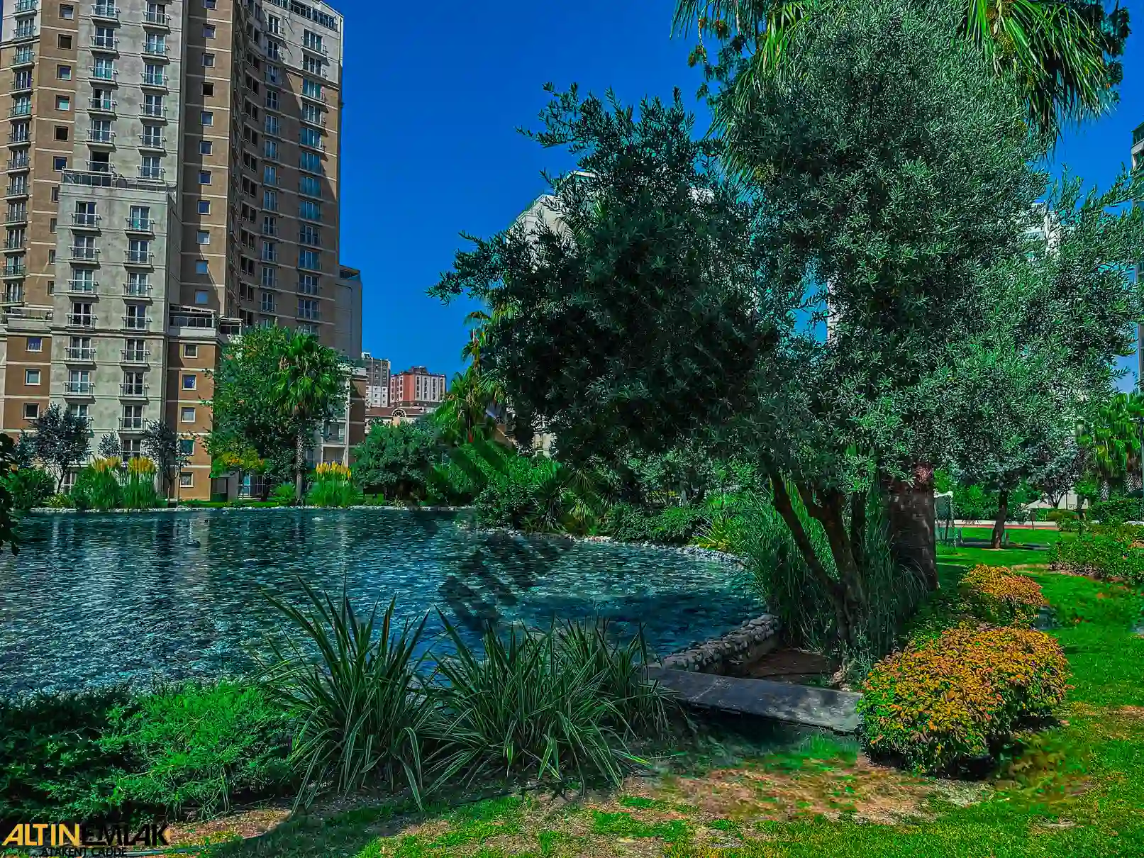 avrupa konutları 2 satılık 1+1 sahibinden
